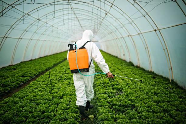 Best Pest Prevention Services  in Laguna Vista, TX