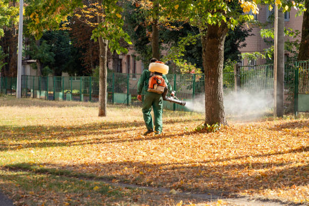 Best Bed Bug Extermination  in Laguna Vista, TX