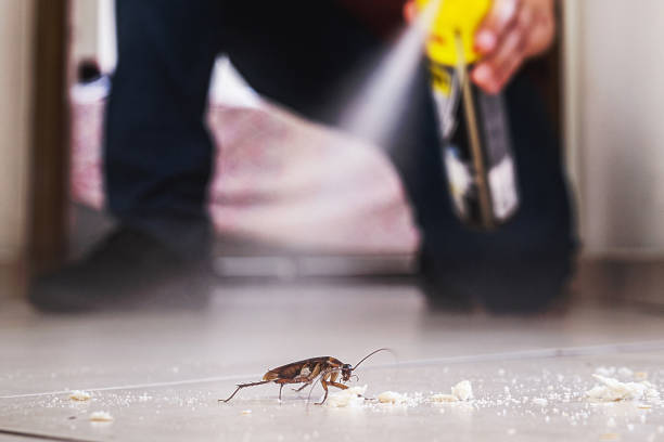 Best Commercial Pest Control Services  in Laguna Vista, TX